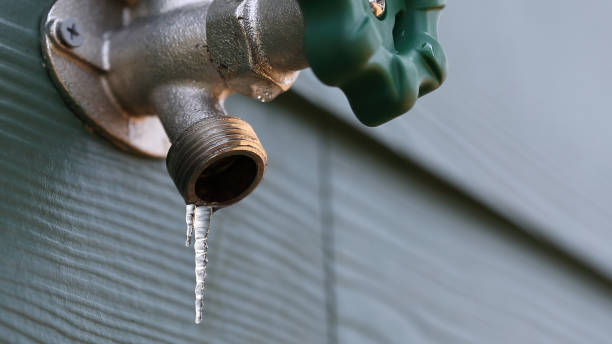 Best Clogged Drain Plumber  in Cross Roads, TX